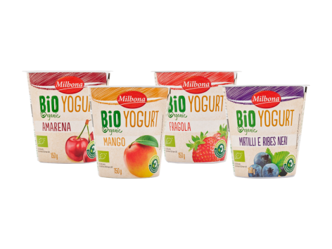 Yogurt alla frutta biologico