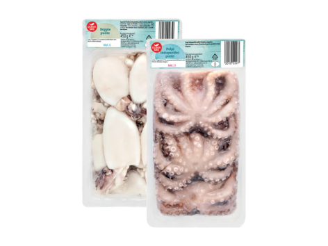 Seppie e polpi indopacifici