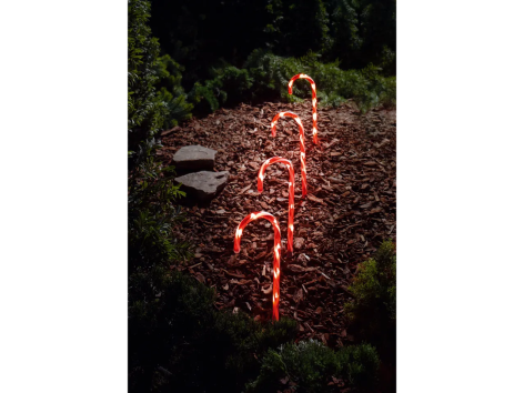 Luci LED decorative con picchetto, 4 o 5 pezzi