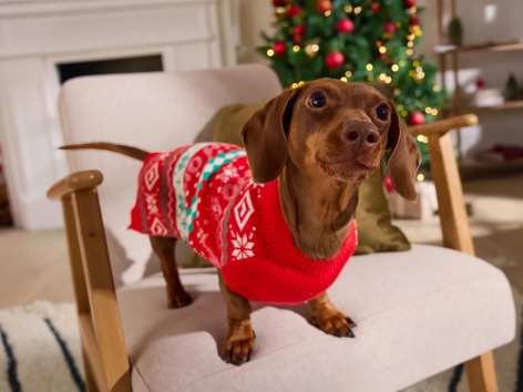Pullover natalizio per cani