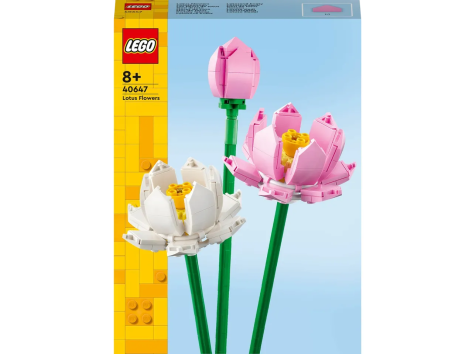 Costruzioni “fiori”