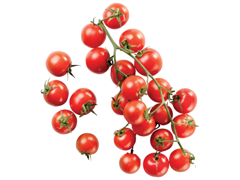 Pomodori ciliegino di Pachino IGP