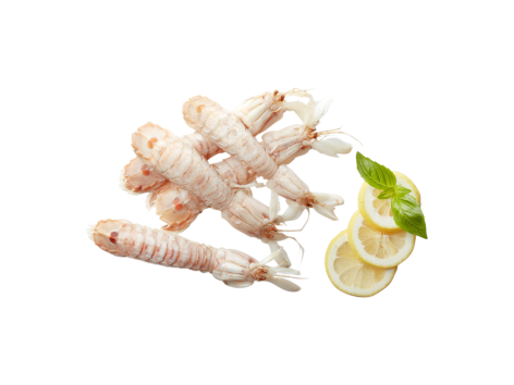 Mare Gioioso Canocchia