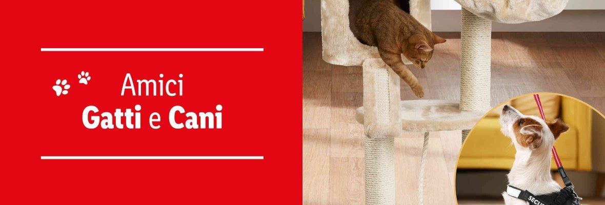 Amici Cani e Gatti