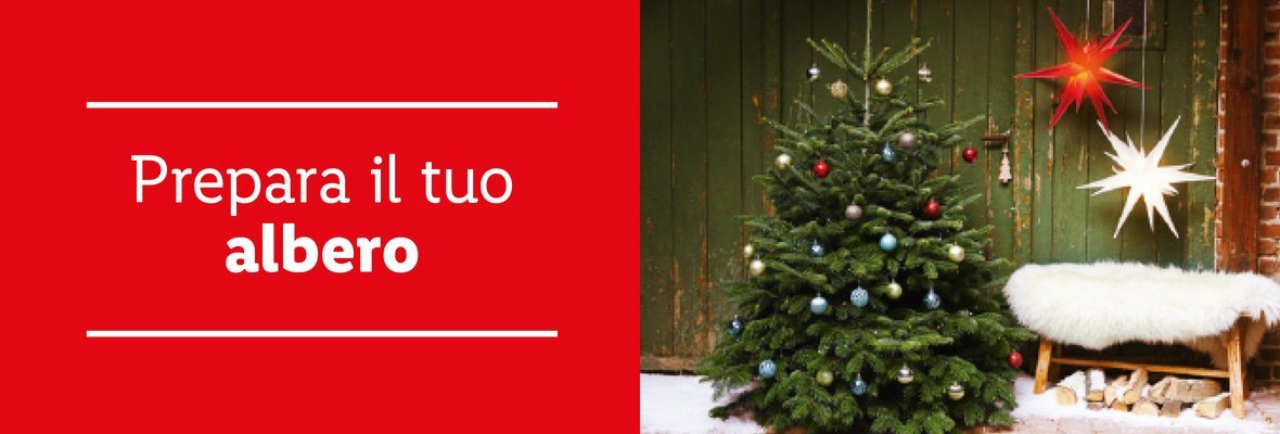 Prepara il tuo albero