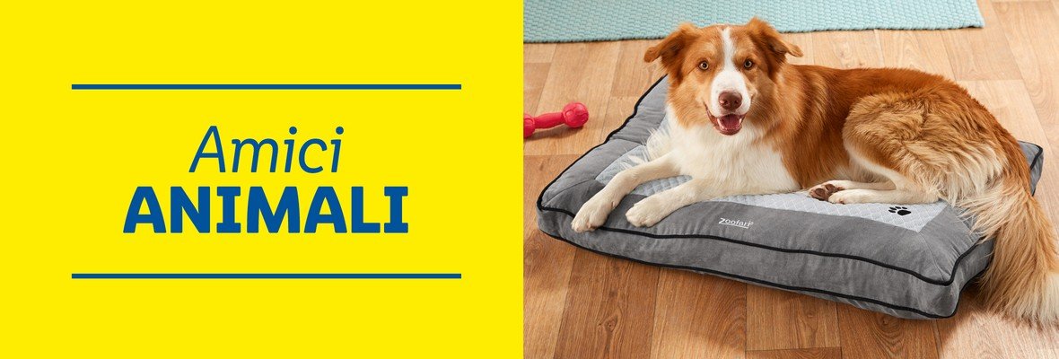Amici animali