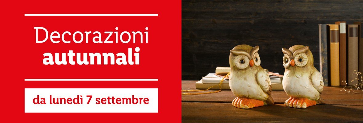 Decorazioni