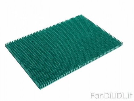 Zerbino 58,5 x 39 (Giardino)