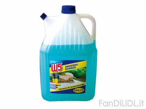 Detergente universale (Chimica economica, cosmetici)