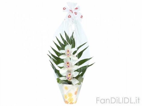 Orchidee 3 fiori (Fiori)