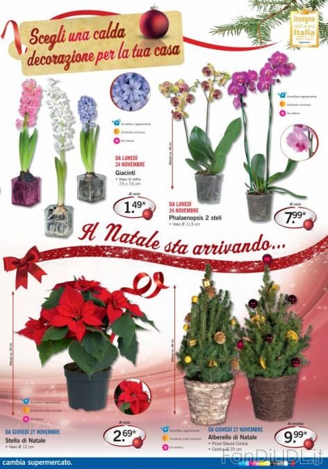 Scegli una calda decorazione (Fiori)