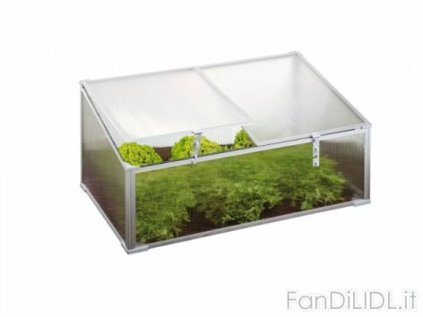 Mini serra da giardino (Giardino)