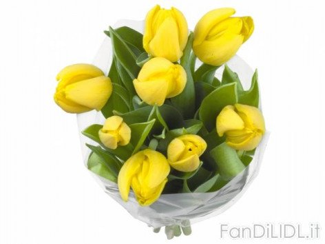 Mazzo di tulipani (Fiori)