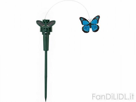 Farfalla decorativa (Giardino)
