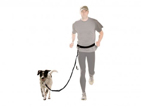 Guinzaglio per cani