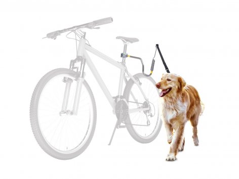 Guinzaglio per cani