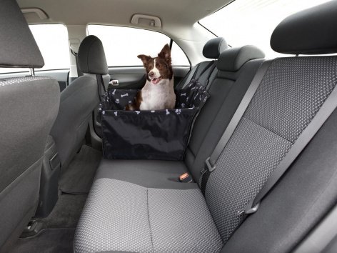 Telo per sedile auto o tappetino refrigerante per animali