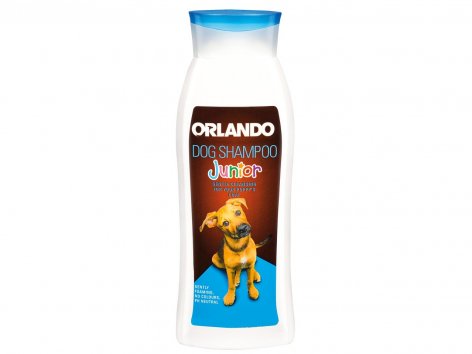 Shampoo per cani