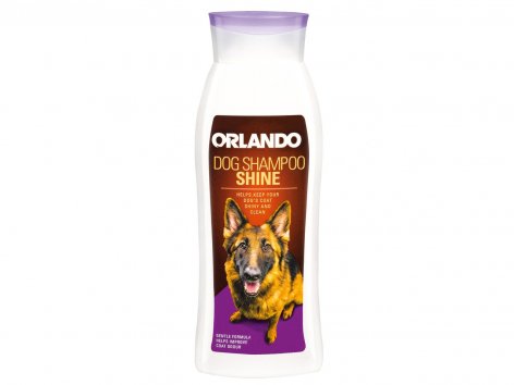 Shampoo per cani