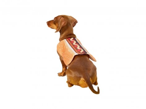 Costume per cani