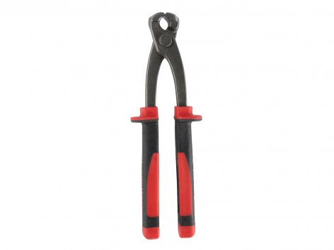 Pinza