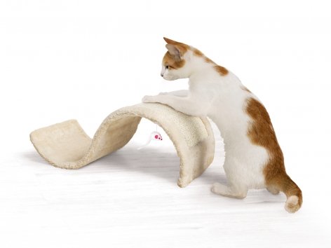 Tavoletta tiragraffi per gatti