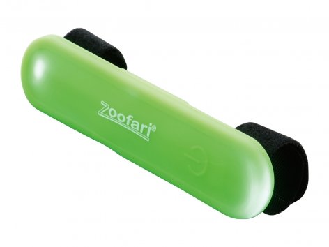 Giochi o accessori a LED per cani