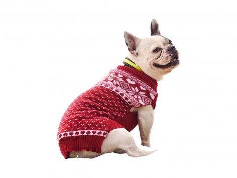 Pullover per cani
