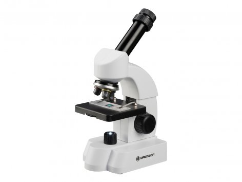 Microscopio