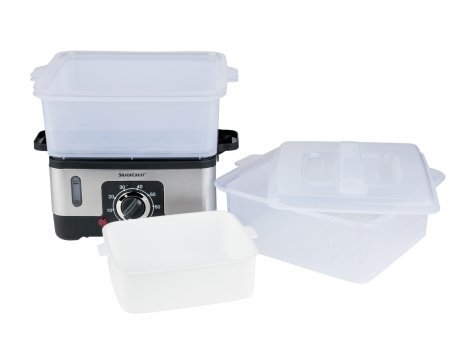 Vaporiera elettrica