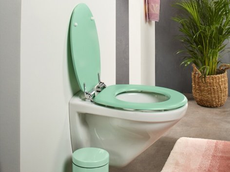Asse Per Wc