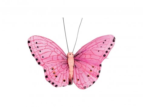 Clip decorative