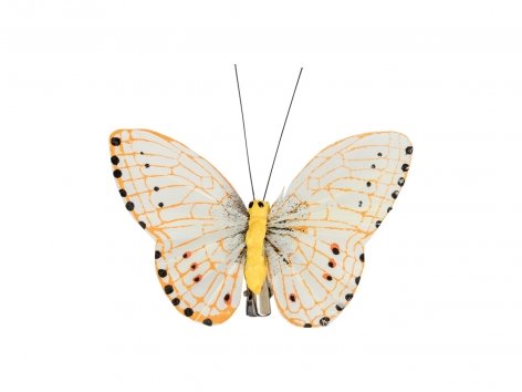 Clip decorative