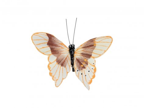 Clip decorative