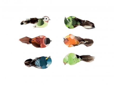 Clip decorative
