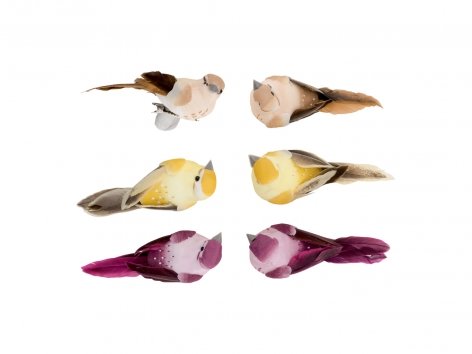 Clip decorative