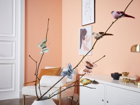 Clip decorative