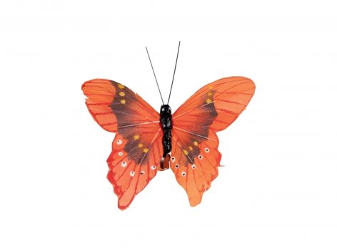 Clip decorative