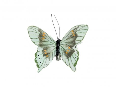 Clip decorative