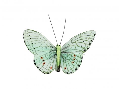 Clip decorative