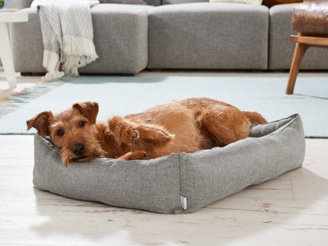 Cuccia per cani