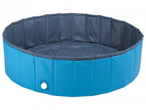 Piscina per cani