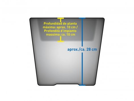 Vaso luminoso a energia solare