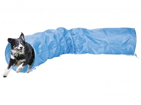 Attrezzi per agility