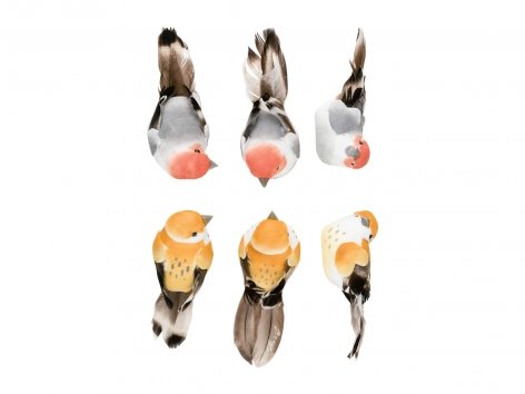 Decorazioni con clip