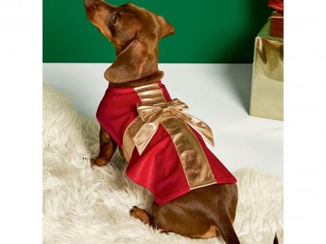Costume natalizio per cani