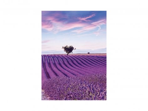 Quaderno
