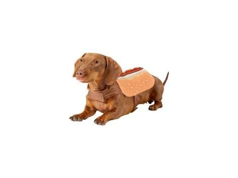 Costume per cani