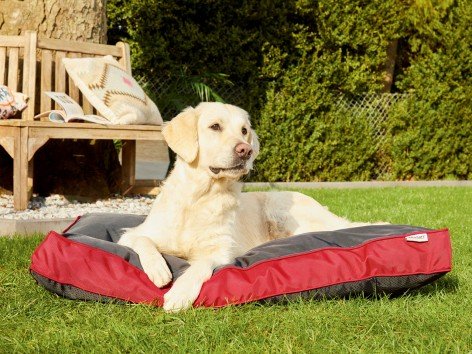 Lettino per cani