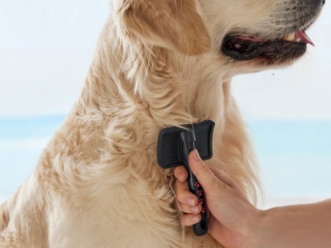 Set per la toelettatura di animali domestici